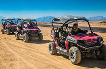 Exciting Buggy Adventure in Palmeraie with Transfers - Marrakesh