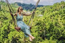 Ubud Tour with Monkey Forest Waterfalls Temples and More
