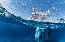 Ras Mohamed & White Island VIP Trip Sharm el Sheikh