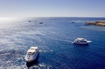 Ras Mohamed and White Island by Boat