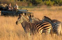 Half Day Safari Tala Game Reserve and Durban City Tour