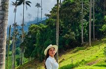 Tour hill Morrogacho Cocora Valley