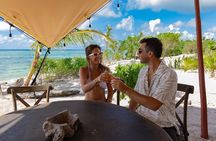 Coba & Sea Turtle Snorkeling Adventure and Beachside Lunch