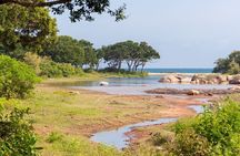 Yala National Park Safari Tour From Hambantota Port 