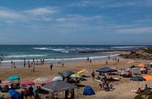 Half Day Safari Tala Game Reserve and Natal Park from Durban