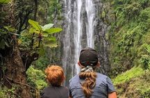 Materuni waterfall , coffee tour and hotsprings (chemka )