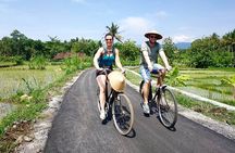 Traditional Village Bicycle Tour at Yogyakarta with Transfer