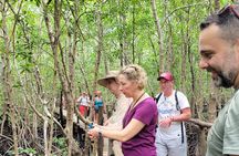 Private Walking Tour in Jozani Forest in Zanzibar 