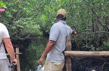 Private Walking Tour in Jozani Forest in Zanzibar 