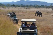 Full Day Trip to Mikumi National Park from Zanzibar
