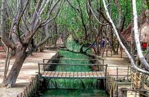 Merida: Progreso, Isla Columpios & El Corchito 