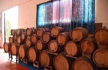 Special Tour "Wine Tasting - Blue Eye and Lekursi Castle"