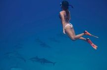 Dolphin House, Private Speedboat & Orange Bay & Lunch - Hurghada