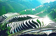 Small Group: Longji Rice Terraces & Minority Village Tour