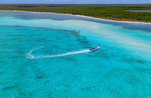 Cozumel Starfish and Tropical Reef Snorkeling by Powerboat with Lunch