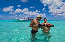 Cozumel Starfish and Tropical Reef Snorkeling by Powerboat with Lunch