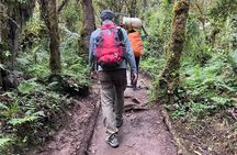 Kilimanjaro Climbing Day Hiking via Marangu Route