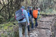 Kilimanjaro Climbing Day Hiking via Marangu Route