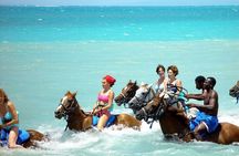 Private Tour Horseback Riding from Ocho Rios or Runaway Bay