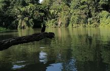 Tortuguero National Park Canoe Tour