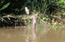 Tortuguero National Park Canoe Tour