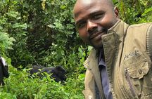 3 Days Uganda Mountain Gorillas Trekking to Bwindi from Kigali