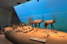 Guided Doha Museum Tour: Experience Qatar’s Rich Heritage and Art