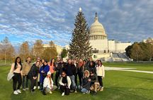 Washington DC Highlights, 1-Day Tour from NYC