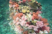 Private Experience with Fishing, Barbeque, Sashimi and Snorkeling