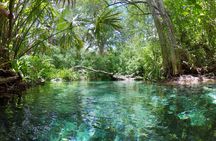 Sisal Mangrove and Beach Kayak Tour From Merida
