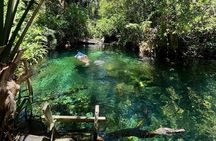 Sisal Mangrove and Beach Kayak Tour From Merida