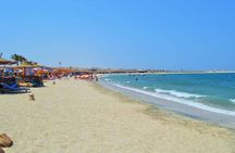 Private Abu Dabbab Over Day Snorkeling with Turtles - Hurghada