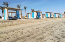 Private Abu Dabbab Over Day Snorkeling with Turtles - Hurghada