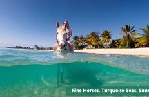Private Tour Horseback Riding from Ocho Rios or Runaway Bay