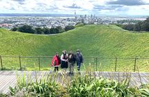 Auckland City Top Spots Half Day Private Tour