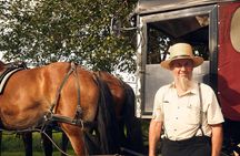 Philadelphia and Amish Country, 1-Day Tour from NYC