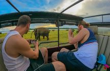 Minneriya National Park Half Day Elephant Safari 