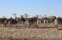 3 Day Hwange National Park Safari Trip from Victoria Falls