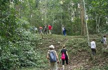 Private One Week Kerala Tour