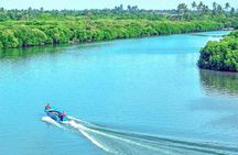 Half Day Tour to Muthurajawela, Lagoon, Dutch Canal and Mangroves