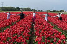 Amsterdam: Day trip to Tulip Farm, Keukenhof + Windmill Cruise