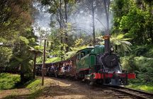 Puffing Billy Train and Penguins Wildlife Tour