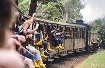 Puffing Billy Train and Penguins Wildlife Tour