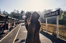 Puffing Billy Train and Penguins Wildlife Tour
