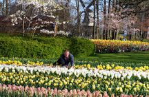 Amsterdam: Keukenhof Entry Ticket & Shuttle Bus - Flexible Return