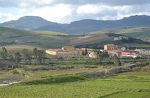 Oil Tour in Historic Baglio Florio Adamo with Lunch