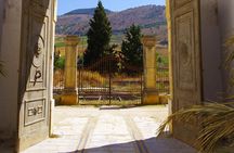 Oil Tour in Historic Baglio Florio Adamo with Lunch