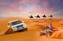 Desert Safari with Camel Riding and BBQ Dinner