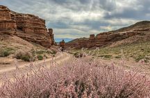 Kolsai, Kaindy Lakes and Charyn Canyon Small-Group Tour 