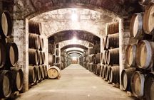 Palma Distillery Tour with 3 Spirits and Gourmet Tapas Tasting